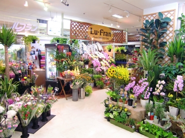 「花の店ルフラン」　（埼玉県富士見市）の花屋店舗写真1